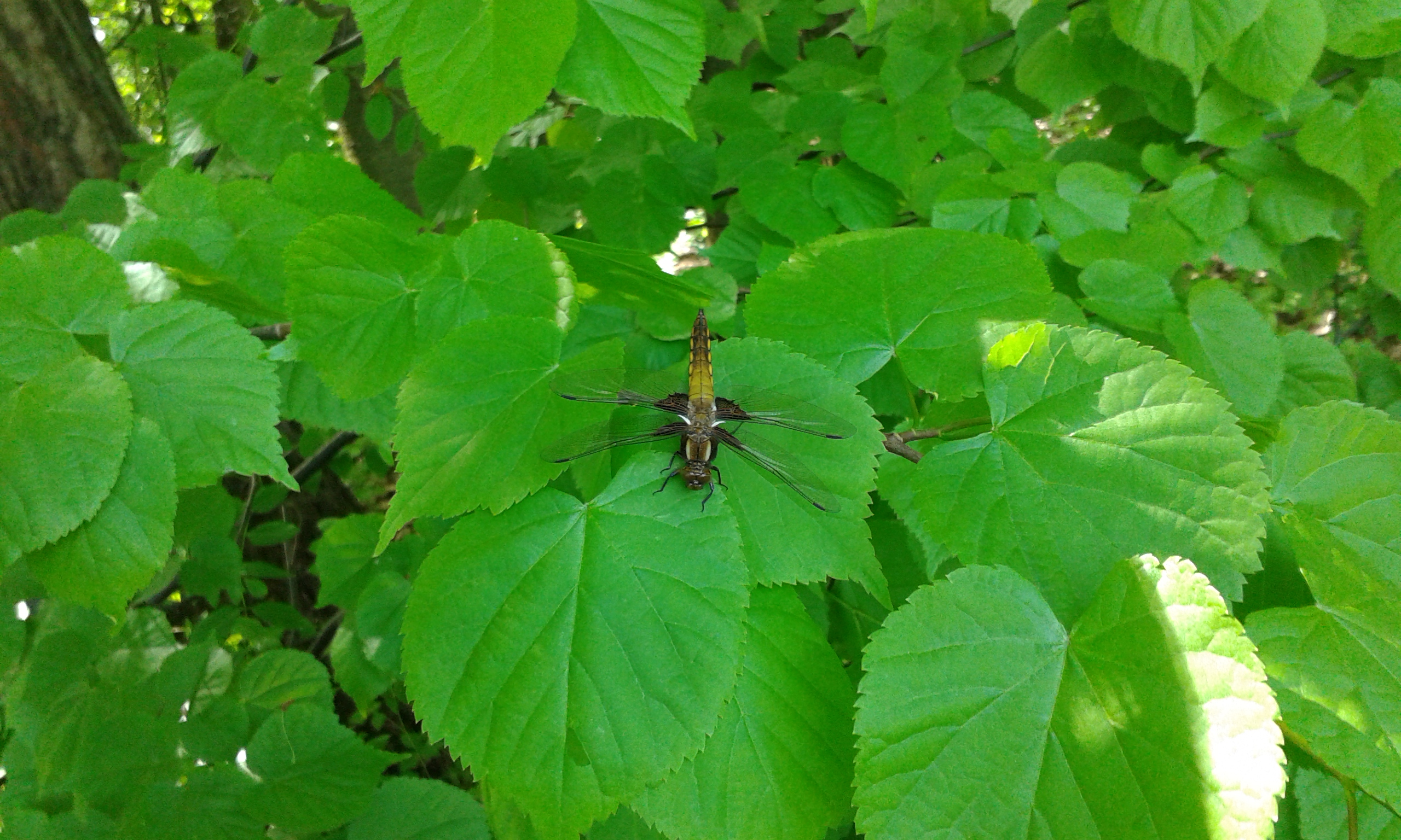 20150512_104025